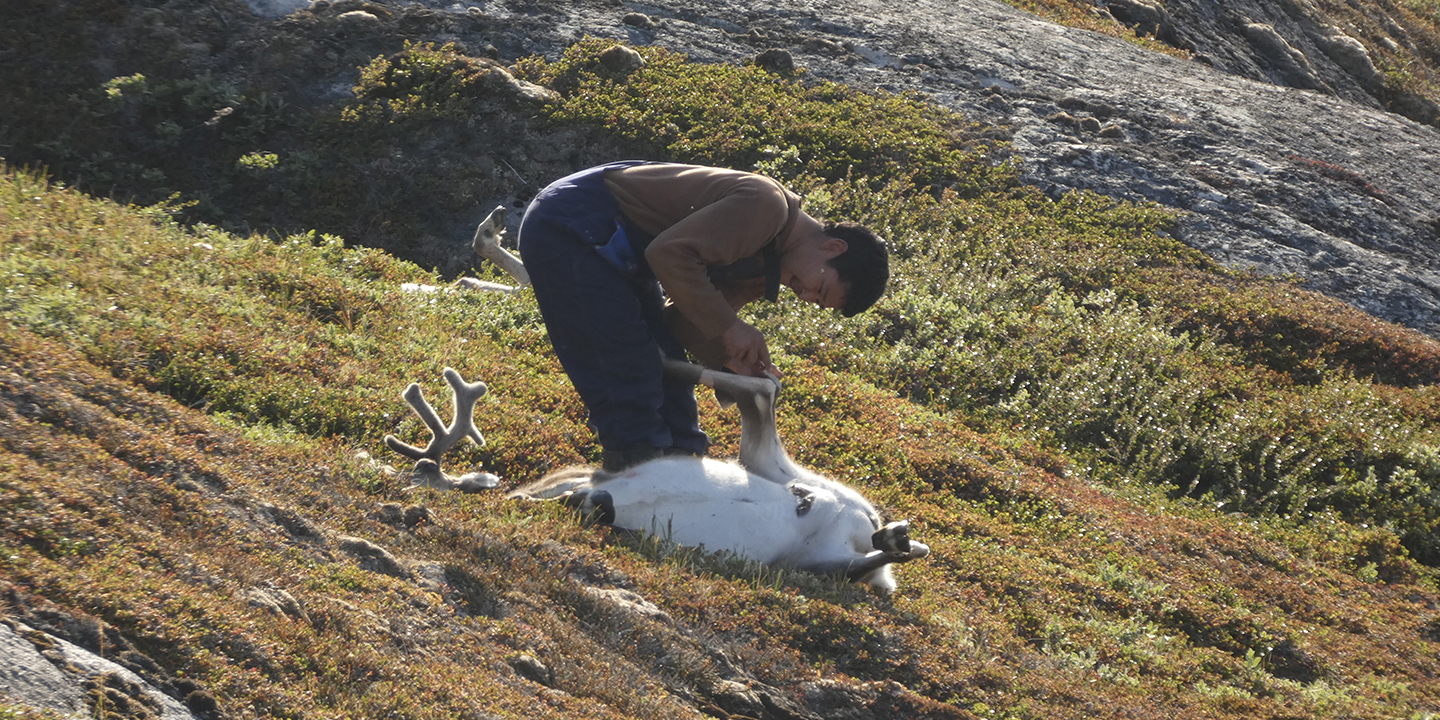 El último confín: Los Inuit del oeste de Groenlandia_2