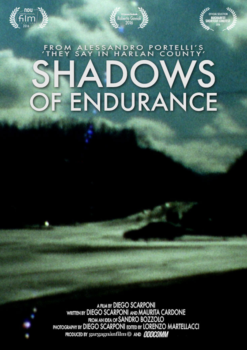  Shadows of Endurance