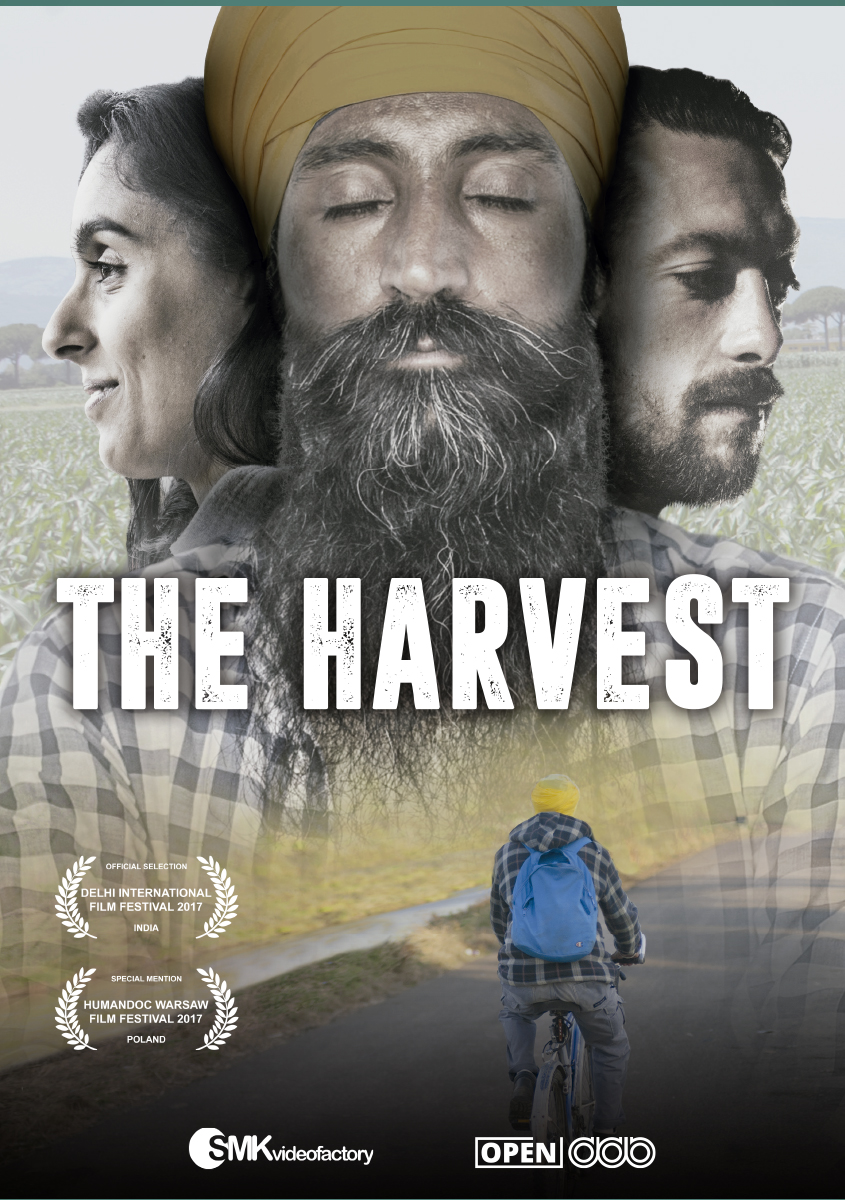  The Harvest