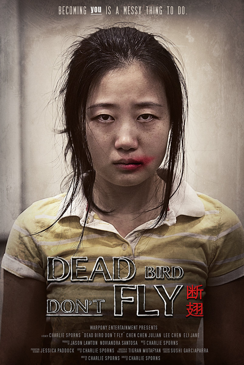  Dead bird don´t fly